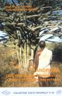Androka (Extrême Sud De Madagascar) : Cartes D'Évolution Des Milieux - Preview