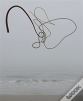Andy Goldsworthy: Ephemeral Works