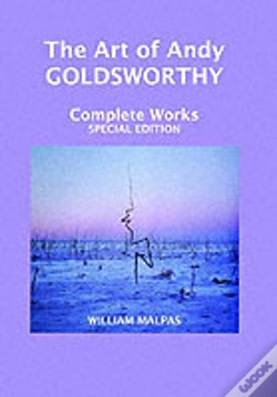 Capa do artigo Andy Goldsworthy