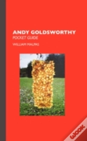Capa do artigo Andy Goldsworthy