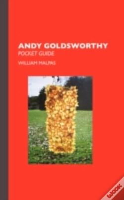 Capa do artigo Andy Goldsworthy
