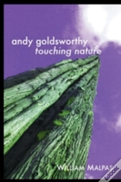 Capa do artigo Andy Goldsworthy