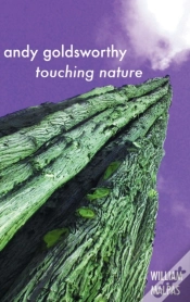 Capa do artigo Andy Goldsworthy