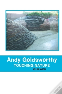 Capa do artigo Andy Goldsworthy