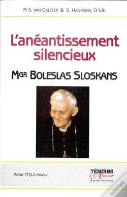 Capa do artigo Anéantissement Silencieux