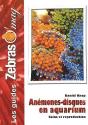 Anémones-Disques En Aquarium - Preview