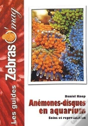 Capa do artigo Anémones-Disques En Aquarium
