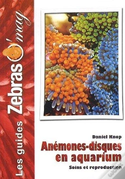 Capa do artigo Anémones-Disques En Aquarium