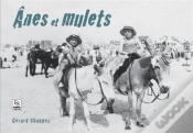 Capa do artigo Anes Et Mulets