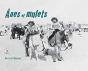 Ânes Et Mulets - Preview