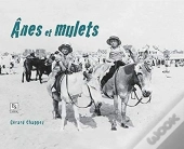 Ânes Et Mulets