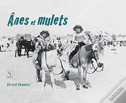 Capa do artigo Ânes Et Mulets