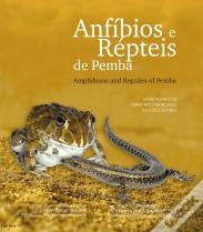 Anfíbios e Répteis de Pemba