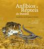 Anfíbios e Répteis de Pemba - Preview