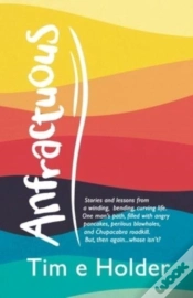 Capa do artigo Anfractuous: Stories And Lessons From A
