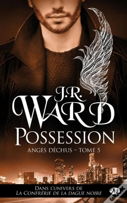 Capa do artigo Ange Dessus, T.5 : Possession