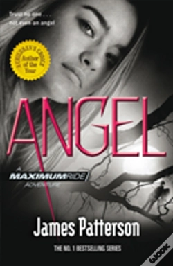 Capa do artigo Angel: A Maximum Ride Novel