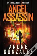 Angel Assassin (Arielle Lucila Series, Book 1)