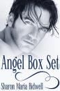 Angel Box Set - Preview