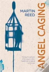 Capa do artigo Angel Caging