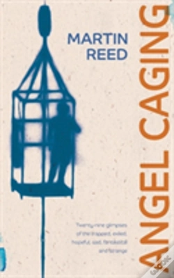 Capa do artigo Angel Caging