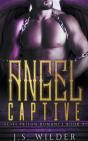Angel Captive - Preview