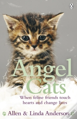 Capa do artigo Angel Cats