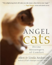 Capa do artigo Angel Cats