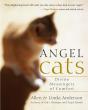 Angel Cats - Preview