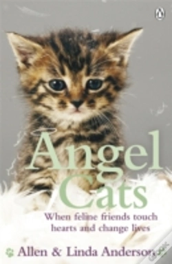 Capa do artigo Angel Cats
