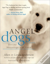 Capa do artigo Angel Dogs