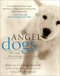 Angel Dogs - Preview