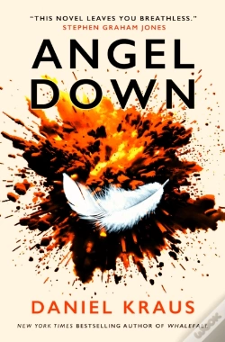 Capa do artigo Angel Down