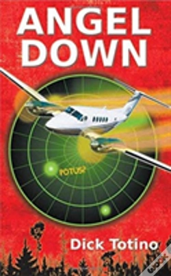 Capa do artigo Angel Down