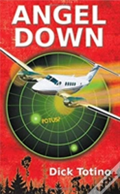 Capa do artigo Angel Down