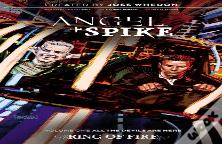 Angel & Spike Volume 1