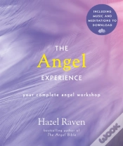 Capa do artigo Angel Experience