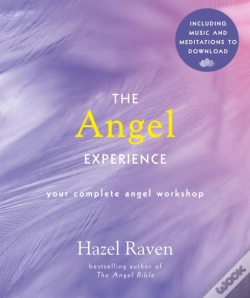 Capa do artigo Angel Experience