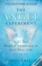 Capa do artigo Angel Experiment