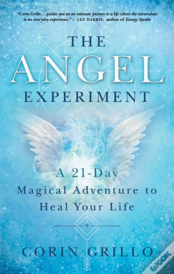 Capa do artigo Angel Experiment