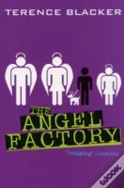 Capa do artigo Angel Factory
