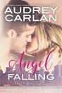 Angel Falling - Preview