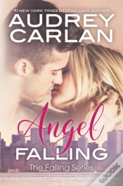 Capa do artigo Angel Falling