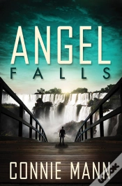Capa do artigo Angel Falls