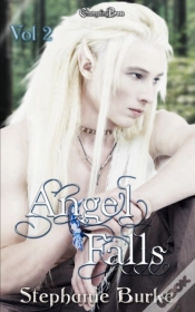 Capa do artigo Angel Falls Vol. 2