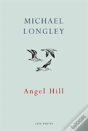 Capa do artigo Angel Hill
