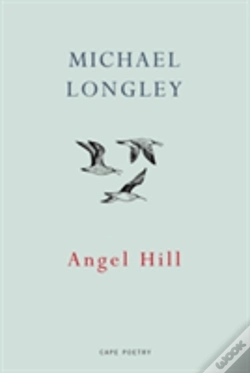 Capa do artigo Angel Hill