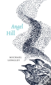Capa do artigo Angel Hill