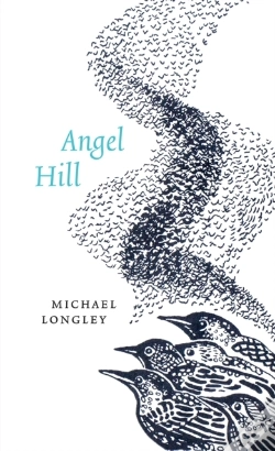 Capa do artigo Angel Hill