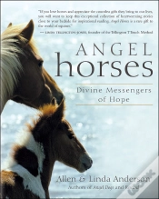 Capa do artigo Angel Horses